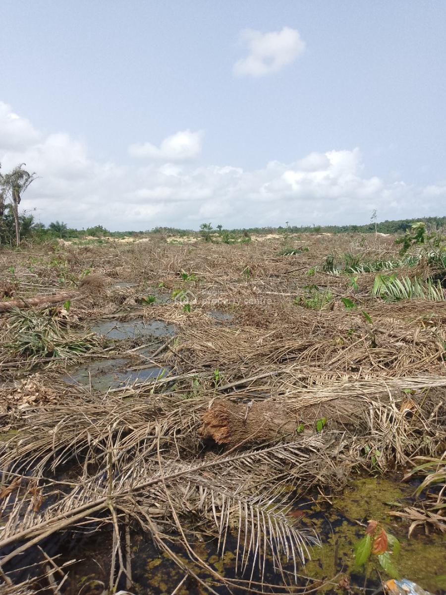 Affordable Land with C of O Near Lekki Lagos Airport, Elerenigbe, Ibeju Lekki, Lagos, Land for Sale