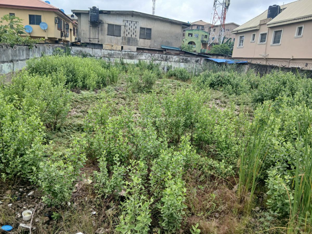 a Well Located Bareland Buy and Build, Pako Area, Akoka, Yaba, Lagos, Residential Land for Sale