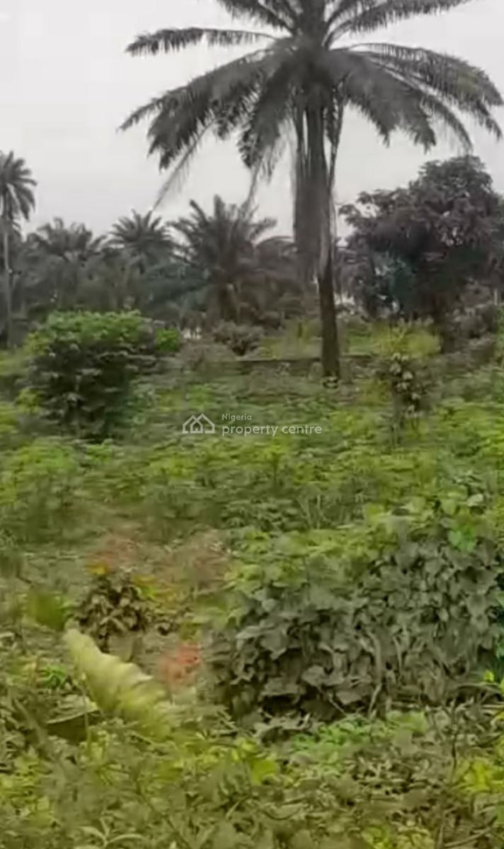 Eighteen (18) Plots of Land, Obirikwere Airport Road, Port Harcourt, Rivers, Commercial Land for Sale