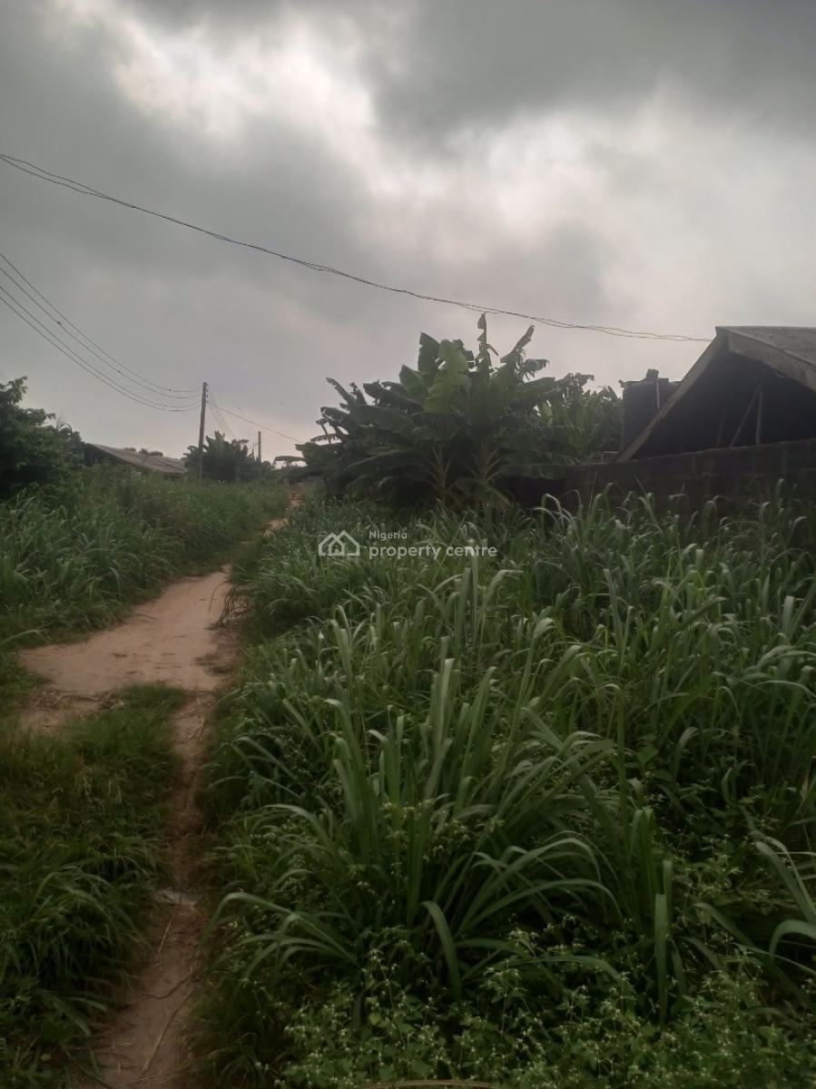 Pig Farmland, Gberigbe, Ikorodu, Lagos, Commercial Land for Sale