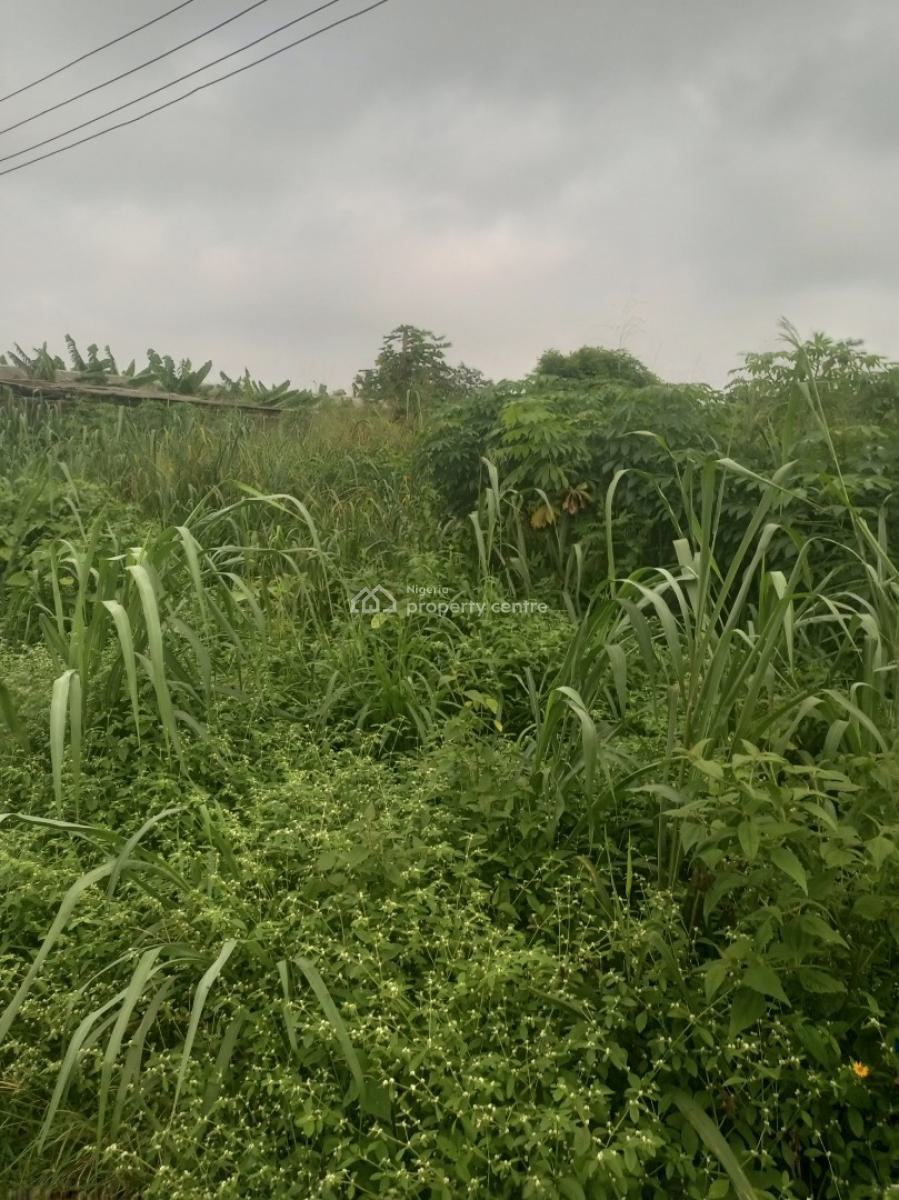 Pig Farmland, Gberigbe, Ikorodu, Lagos, Commercial Land for Sale