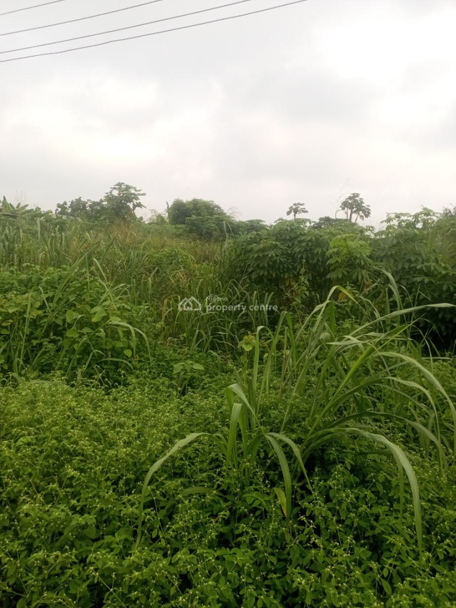 Pig Farmland, Gberigbe, Ikorodu, Lagos, Commercial Land for Sale