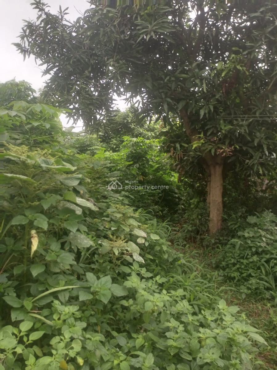 Pig Farmland, Gberigbe, Ikorodu, Lagos, Commercial Land for Sale