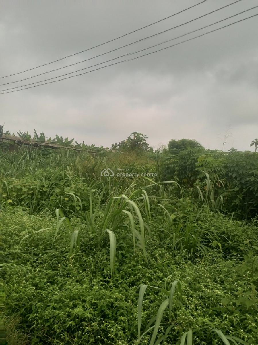Pig Farmland, Gberigbe, Ikorodu, Lagos, Commercial Land for Sale