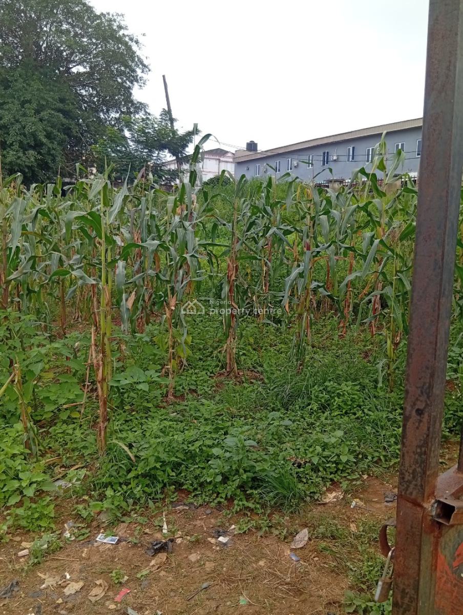 1000sqm Katampe Main Behind Bon Hotel, Katampe Behind Bon Hotel, Katampe, Abuja, Residential Land for Sale