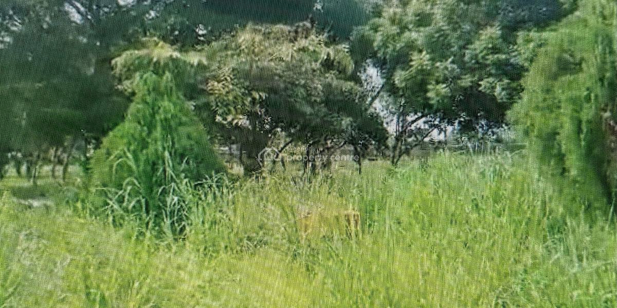 Prime Residential Land with Potential in Osbourne 11 on Offer, Osborne, Ikoyi, Lagos, Land for Sale