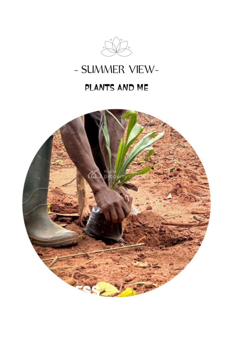 Hectares of Farmland for Oil Plantation Farming, Ogun State, Imeko Afon, Ogun, Mixed-use Land for Sale