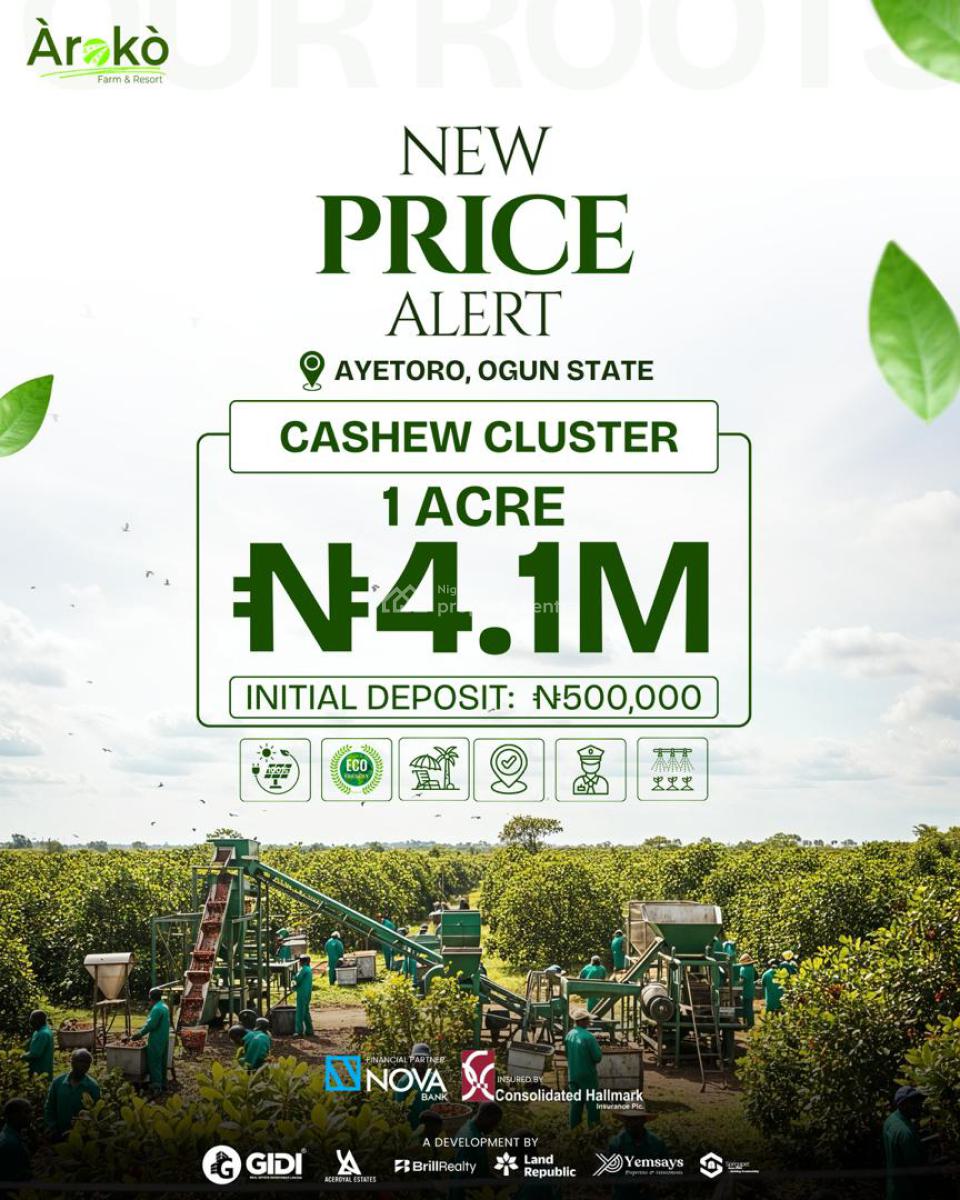 Cashews Farm 1 Acre, Aiyetoro, Abeokuta North, Ogun, Commercial Land for Sale