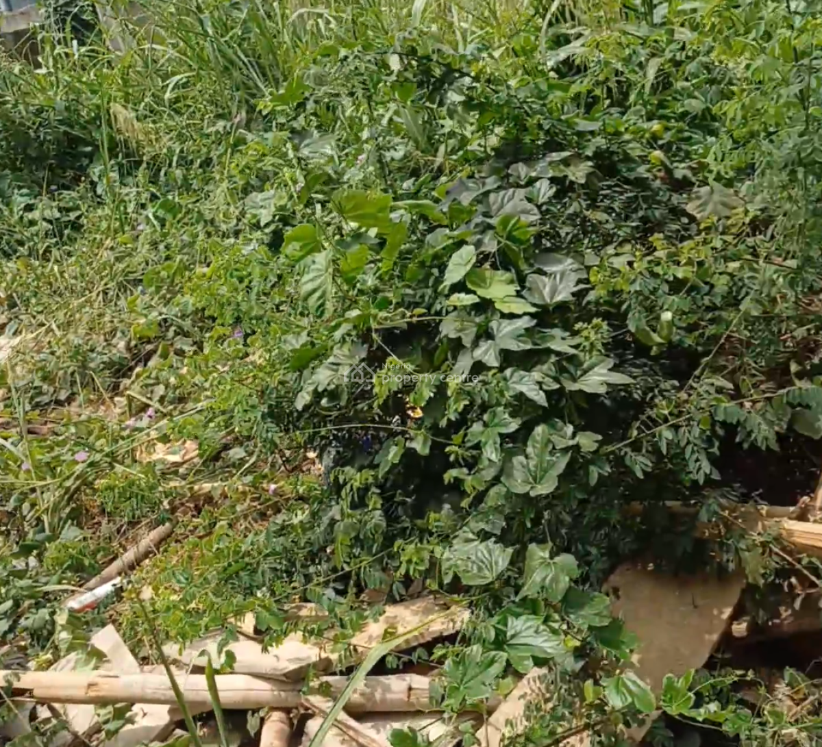 Exclusive Dry Estate Land, Berger, Arepo, Ogun, Land for Sale