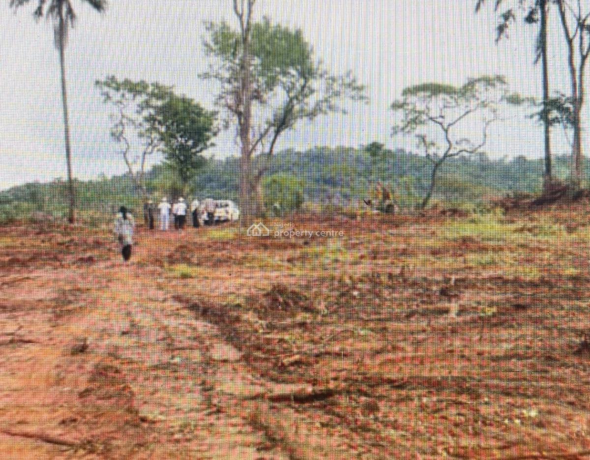 Prime Developement Land, Guzape District, Abuja, Land for Sale