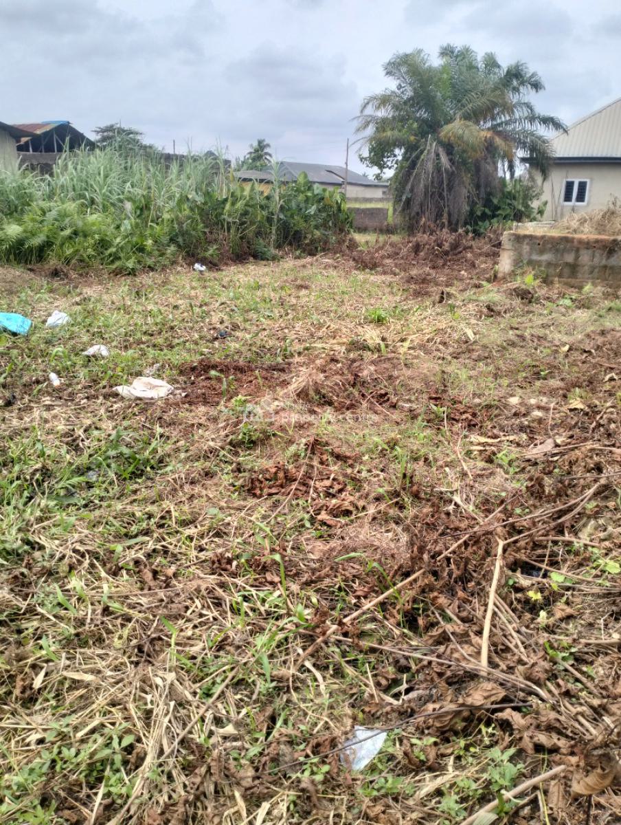 Empty 2plots of Land Together, Off Akesan Igando Lasu Road, Akesan, Alimosho, Lagos, Mixed-use Land for Sale