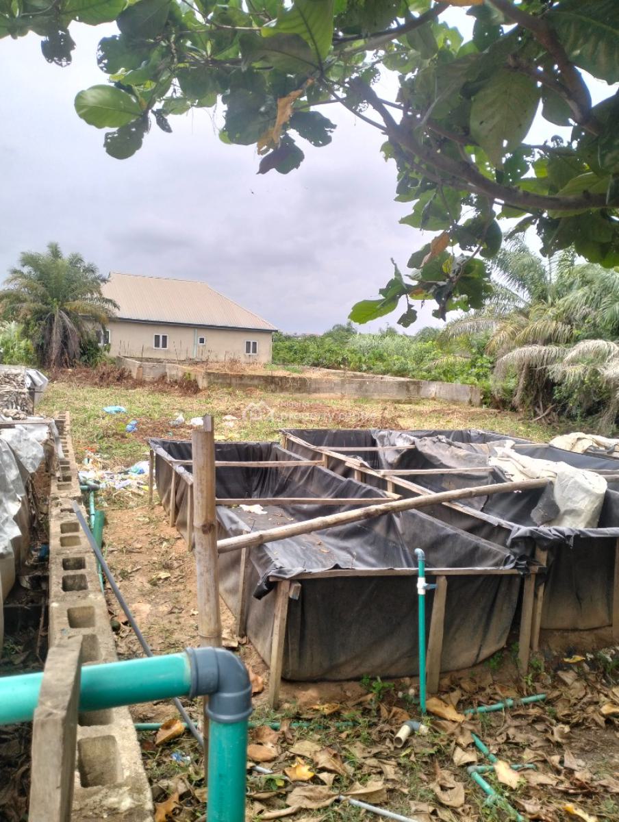 Empty 2plots of Land Together, Off Akesan Igando Lasu Road, Akesan, Alimosho, Lagos, Mixed-use Land for Sale