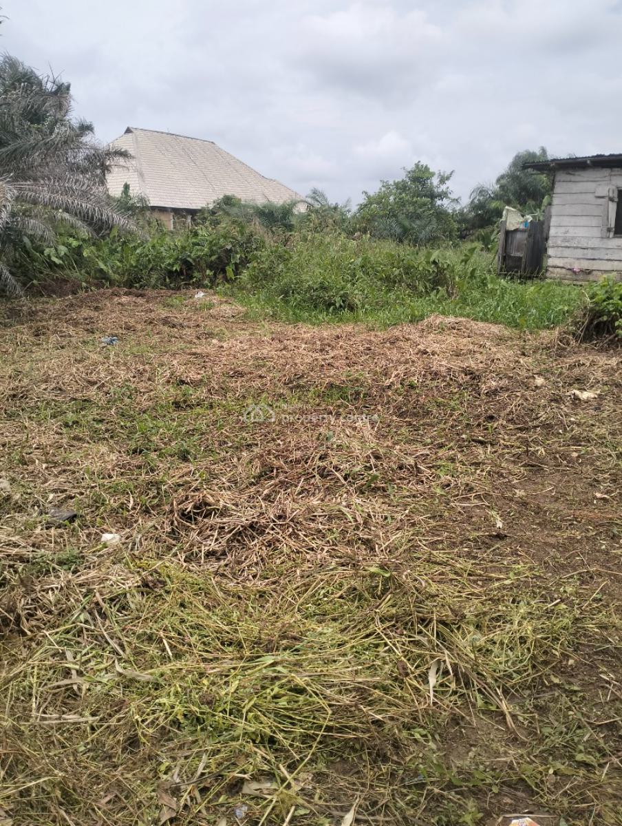 Empty 2plots of Land Together, Off Akesan Igando Lasu Road, Akesan, Alimosho, Lagos, Mixed-use Land for Sale