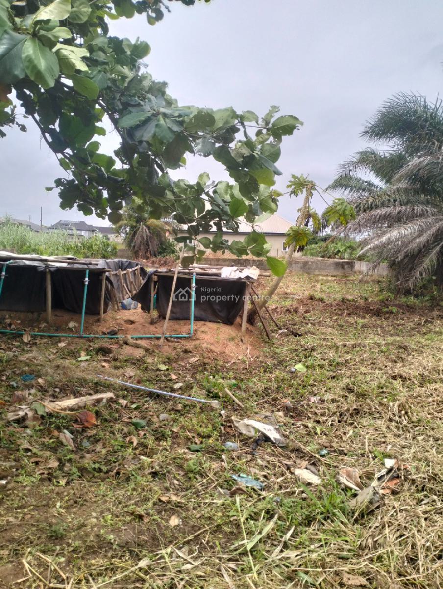 Empty 2plots of Land Together, Off Akesan Igando Lasu Road, Akesan, Alimosho, Lagos, Mixed-use Land for Sale
