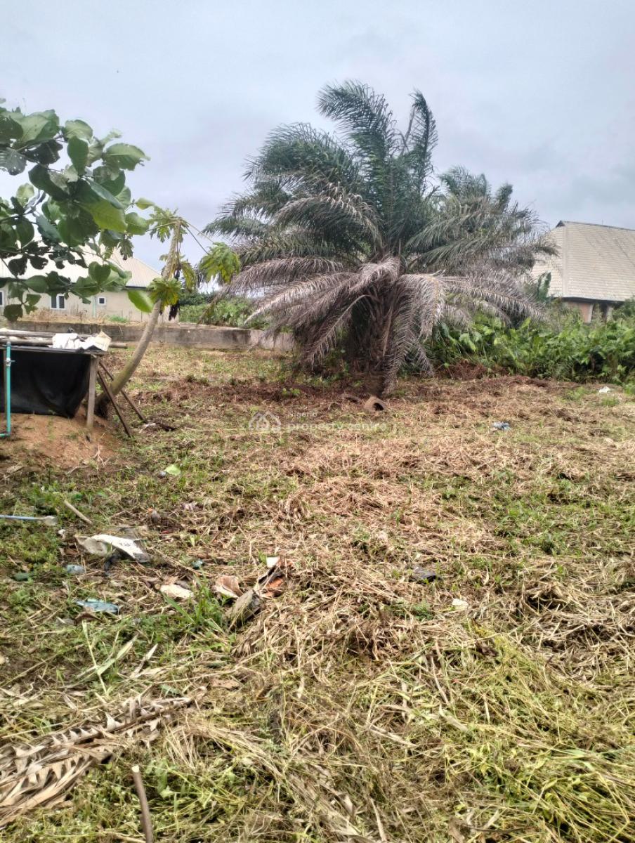 Empty 2plots of Land Together, Off Akesan Igando Lasu Road, Akesan, Alimosho, Lagos, Mixed-use Land for Sale