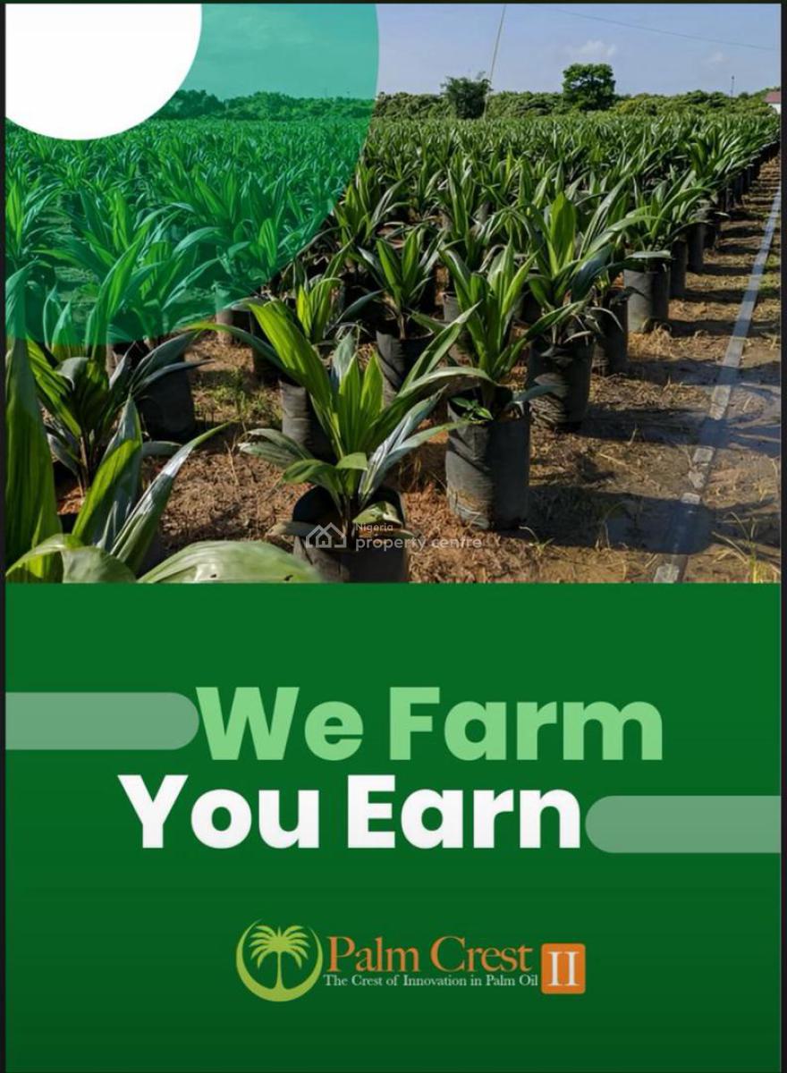 Palm Crest 2,palm Tree Farm with a Title of C of O, Imeko Afon, Ogun, Commercial Land for Sale