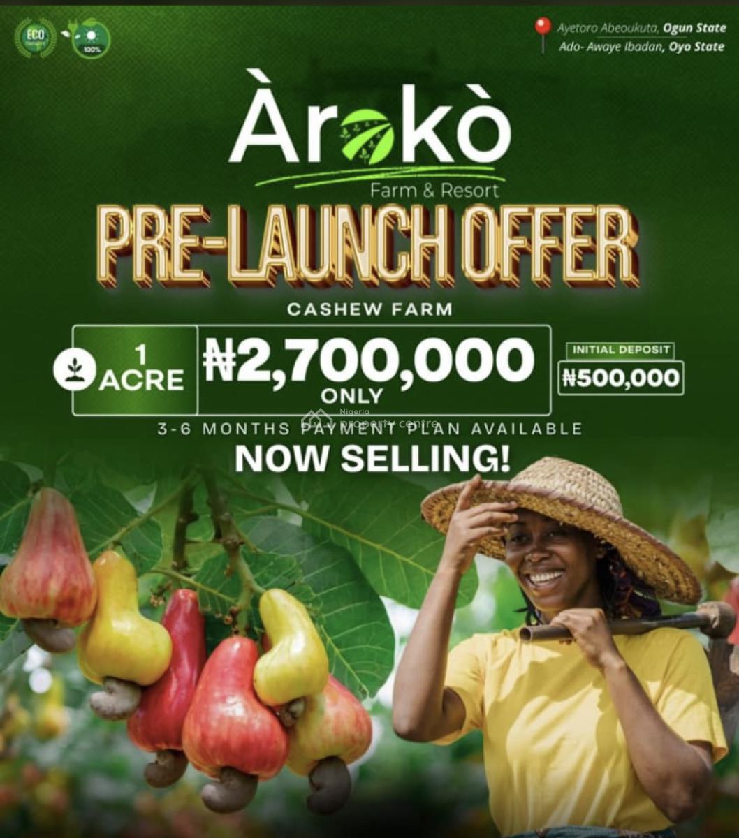Palm Oil , Cocoa Plantation, Livestock Farm Etc, Abeokuta North, Ogun, Land for Sale