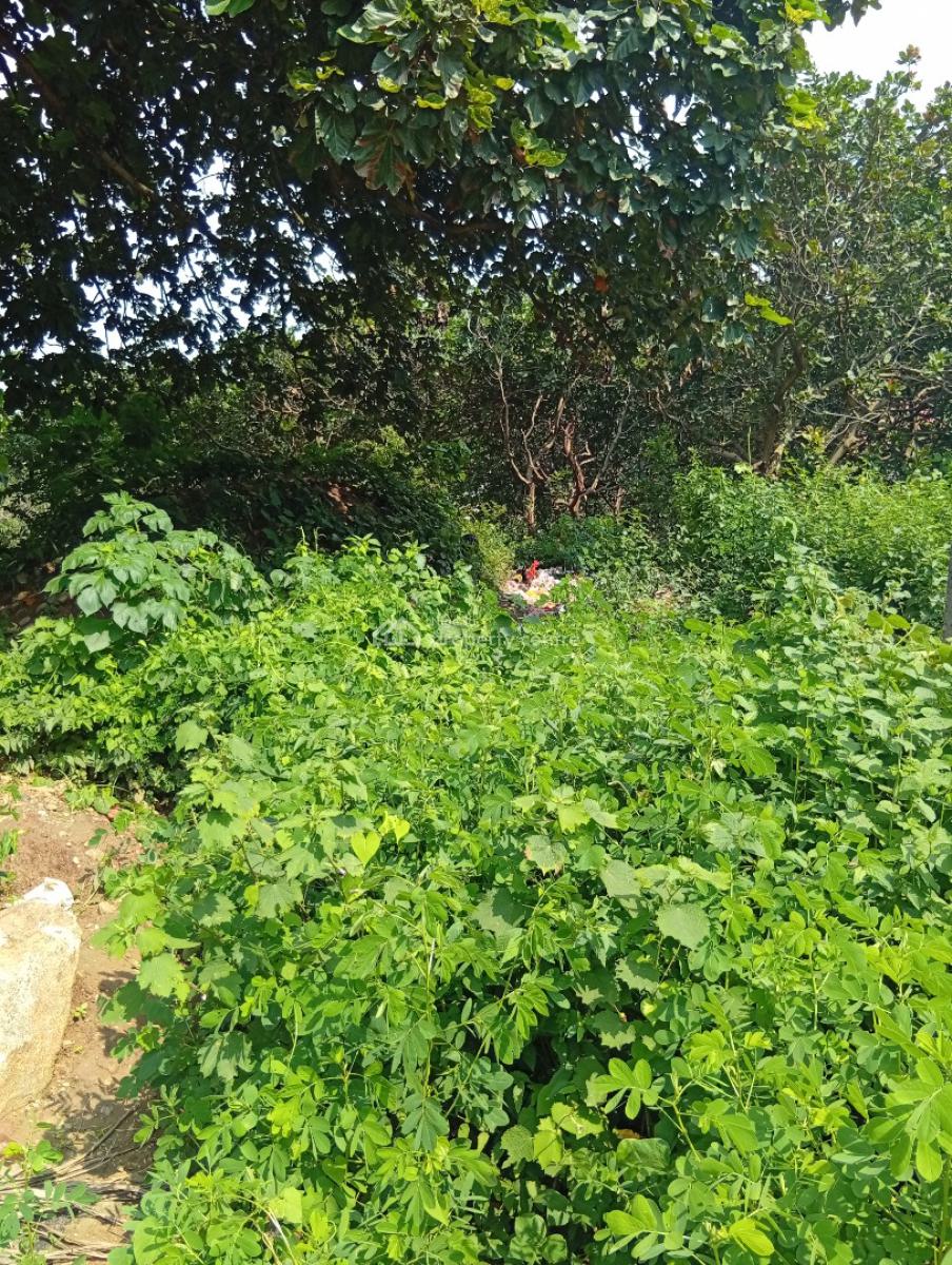 1800sqm Residential Land, Legislative Quarters Zone E, Apo, Abuja, Residential Land for Sale