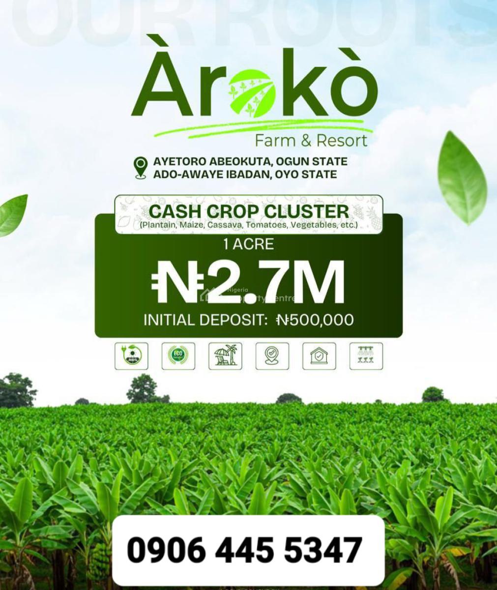 Acres of Cocoa Farmlands at Ado-awaye, Iseyin, Ibadan, Oyo State, Ado-awaye, Iseyin, Ibadan, Oyo, Land for Sale