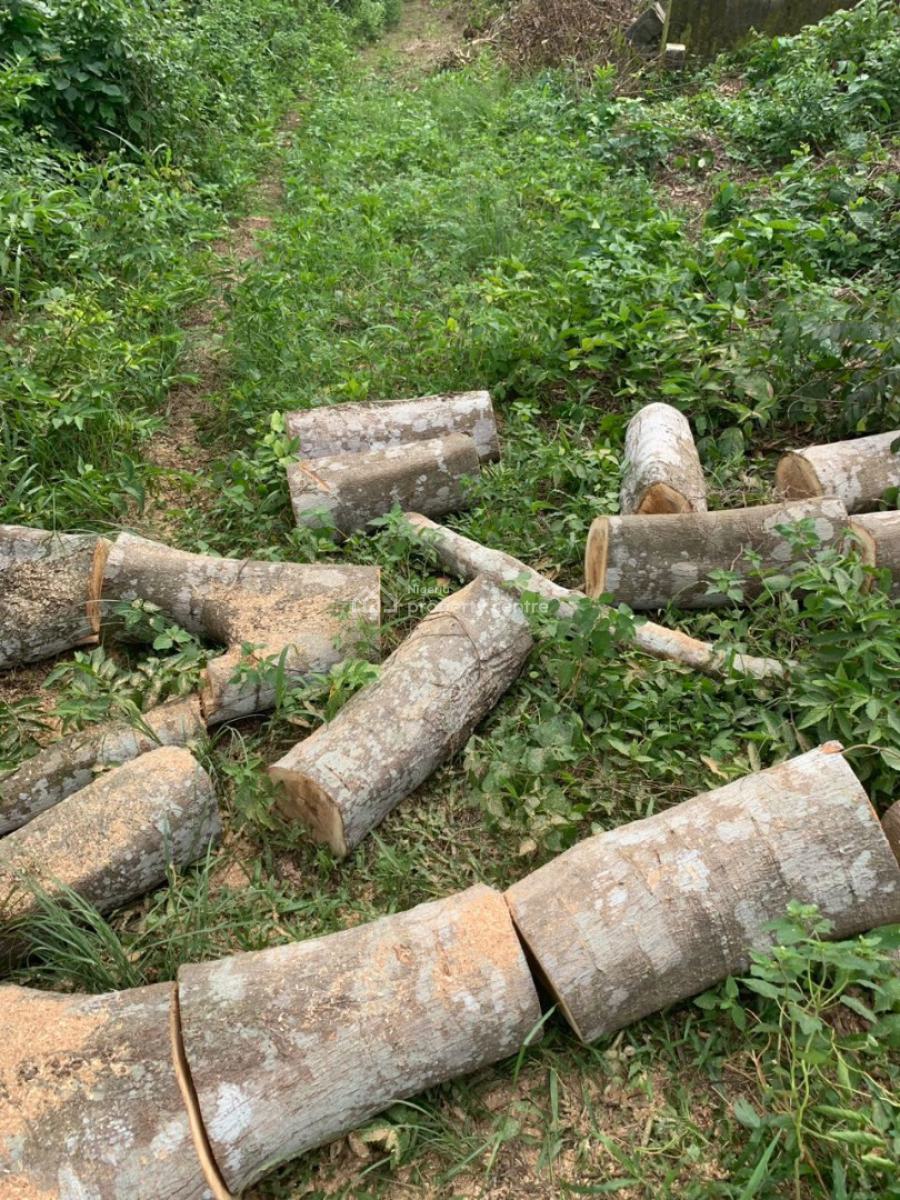 Full Plot of Dry Land, Oke Sabo., Imota, Ikorodu, Lagos, Mixed-use Land for Sale