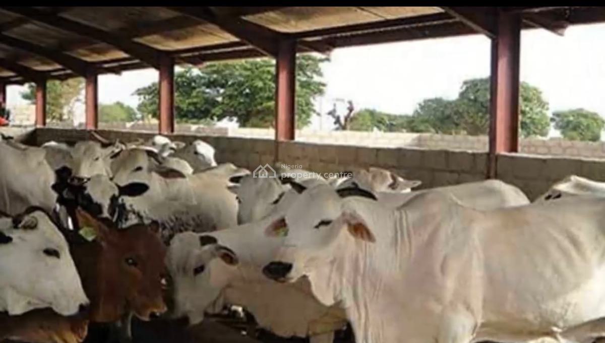 7 Plots of Land + Building, Borehole Etc, Sowunmi, Ibogun, Ifo, Ogun, Land for Sale