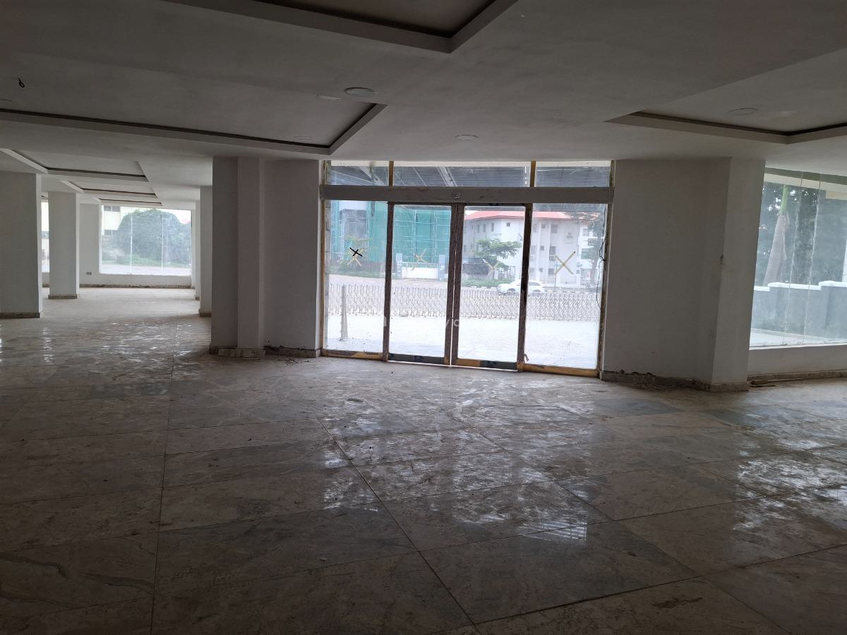 6 Floors Newly Built Plaza with Elevator, Ademola Adetokumbo, Wuse 2, Abuja, Plaza / Complex / Mall for Sale