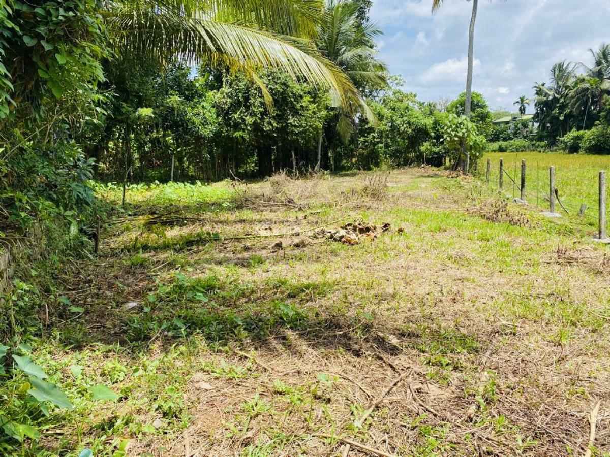 Strategically Located  5.6 Hectares of Land, Maitama 2, Maitama District, Abuja, Land for Sale