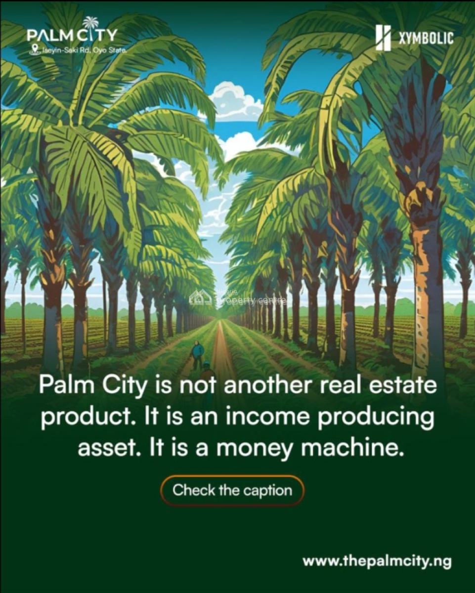 Affordable Commercial Land, Palm City, Saki Road, Iseyin, Oyo, Land for Sale