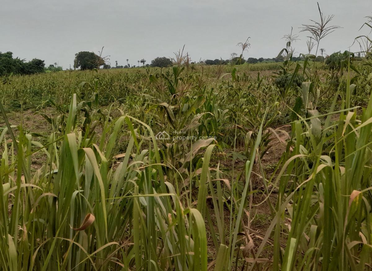 Cocoa Farm Lands: Acres and Hectares Available at Aiyetoro, Abeokuta, Aiyetoro Town, Abeokuta North, Ogun, Land for Sale