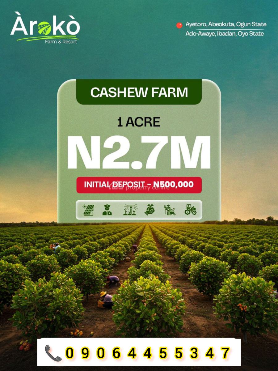 Cocoa Farm Lands: Acres and Hectares, Aiyetoro Town, Abeokuta North, Ogun, Land for Sale