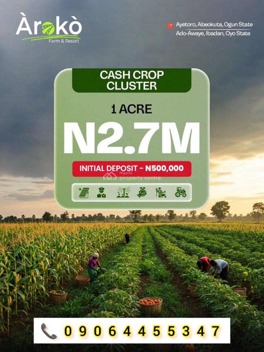Cocoa Farm Lands: Acres and Hectares, Aiyetoro Town, Abeokuta North, Ogun, Land for Sale