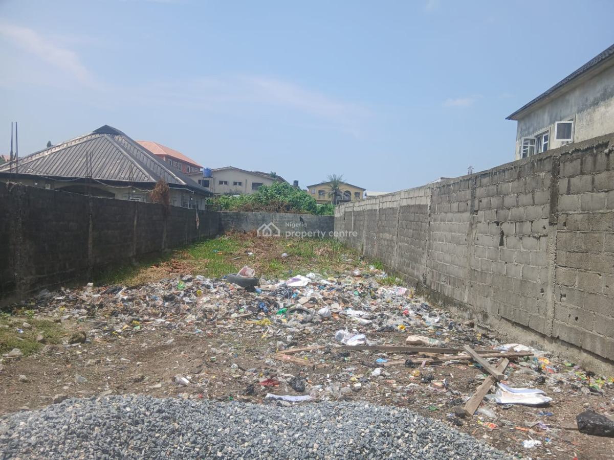 Distressed Half Plot of Land, Ado Road, Ado, Ajah, Lagos, Land for Sale