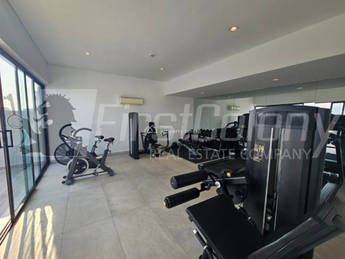 Furnished 2 Bedroom Luxury Apartment with Excellent Facilities, Victoria Island (vi), Lagos, Flat / Apartment for Rent