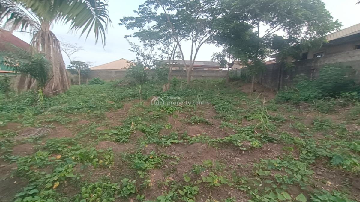 2plot of Land Dry and Table Land with C of O, Off Isawo Road, Agric, Ikorodu, Lagos, Mixed-use Land for Sale