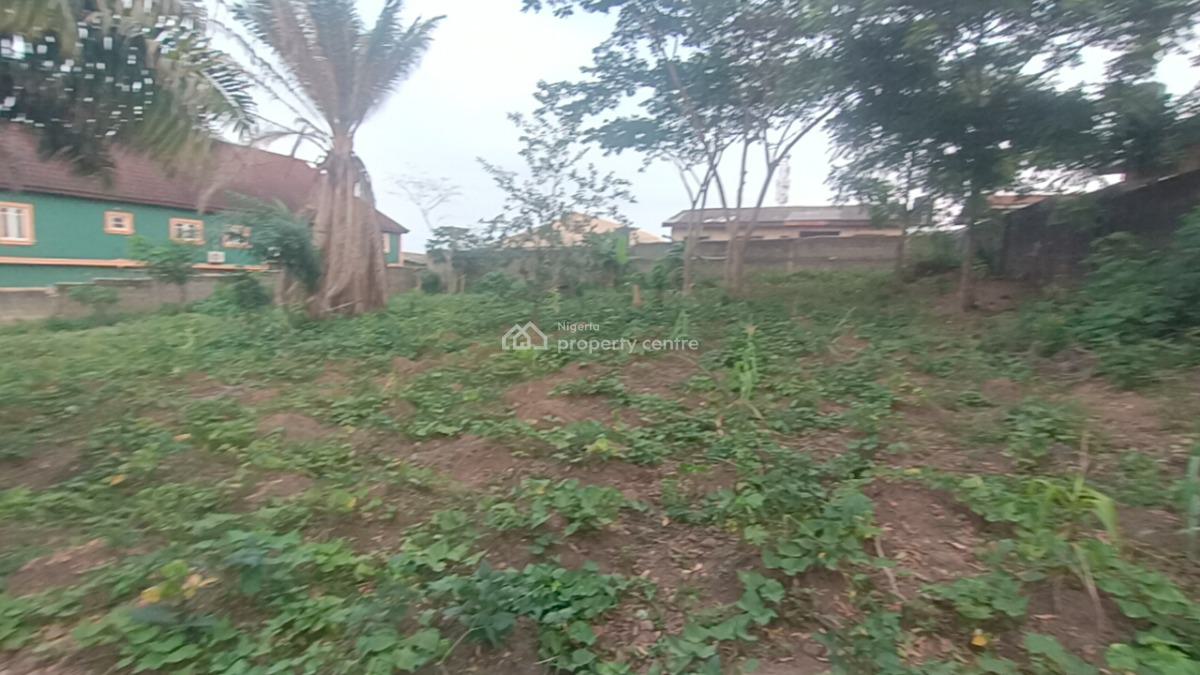 2plot of Land Dry and Table Land with C of O, Off Isawo Road, Agric, Ikorodu, Lagos, Mixed-use Land for Sale