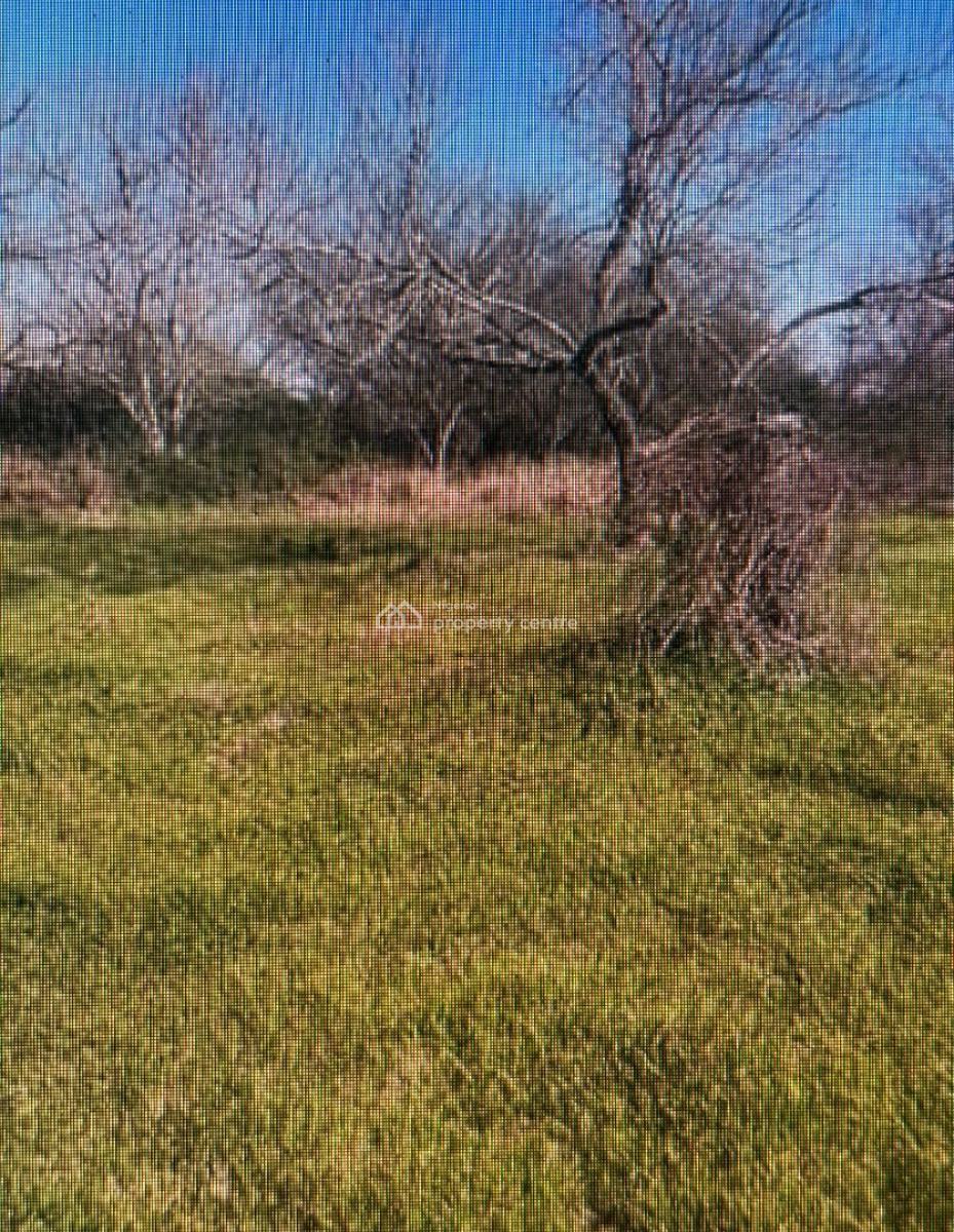 Prime and Lucrative 12000sqm of Bare Land on Offer, Katampe, Abuja, Land for Sale