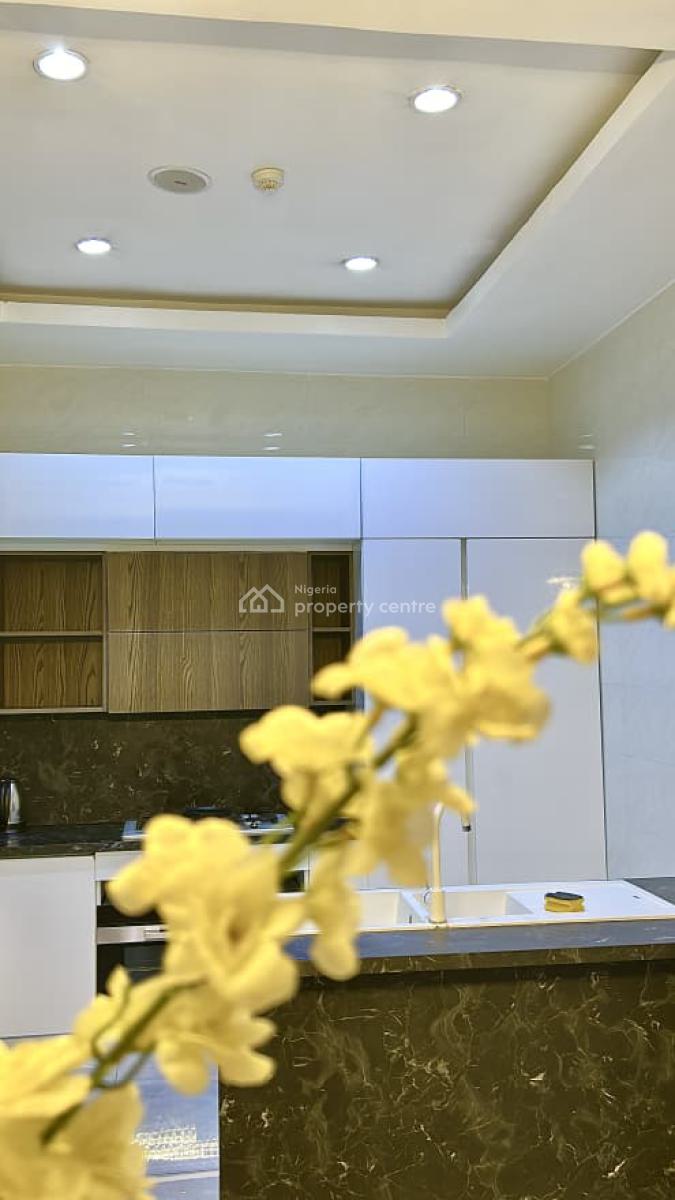 Uniquely Built 3 Bedroom Apartments with Bq, Swimming Pool, Gym, Old Ikoyi, Ikoyi, Lagos, Flat / Apartment for Rent