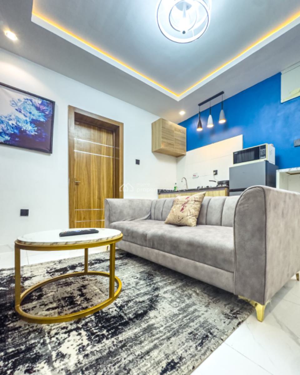 Premium Affordable One Bedroom Apartment with Top Notch Amenities, Surulere, Lagos, Mini Flat (room and Parlour) Short Let