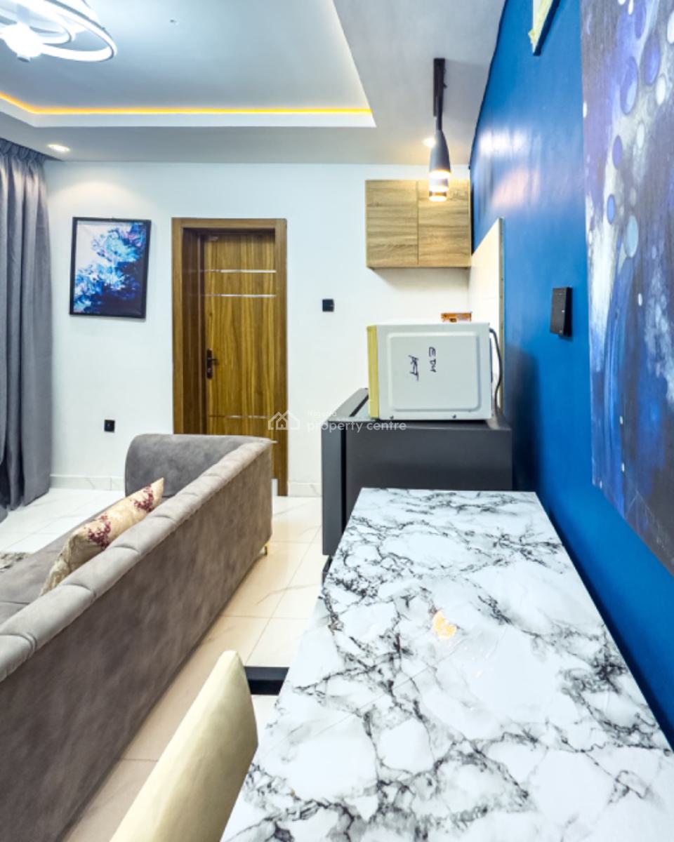 Premium Affordable One Bedroom Apartment with Top Notch Amenities, Surulere, Lagos, Mini Flat (room and Parlour) Short Let