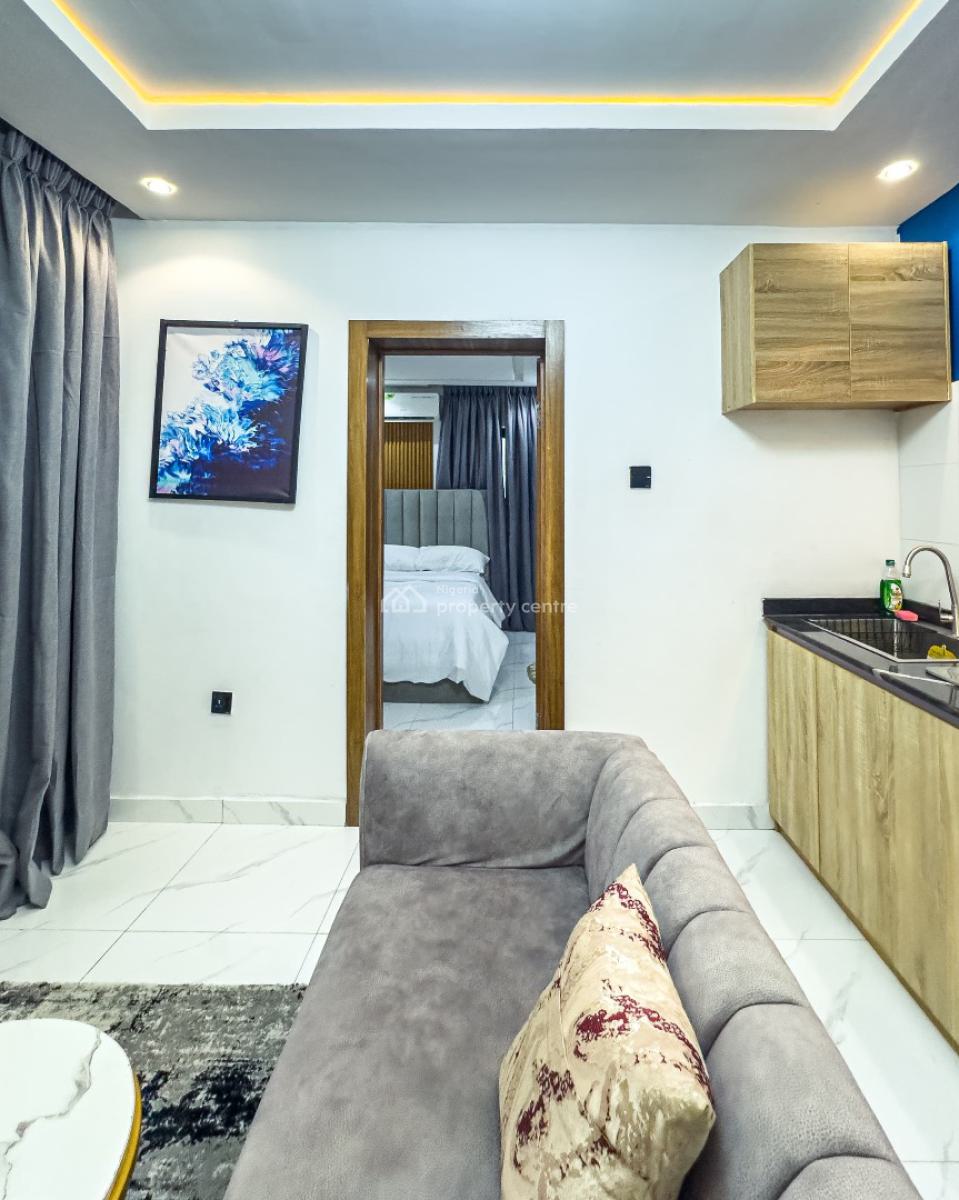 Premium Affordable One Bedroom Apartment with Top Notch Amenities, Surulere, Lagos, Mini Flat (room and Parlour) Short Let