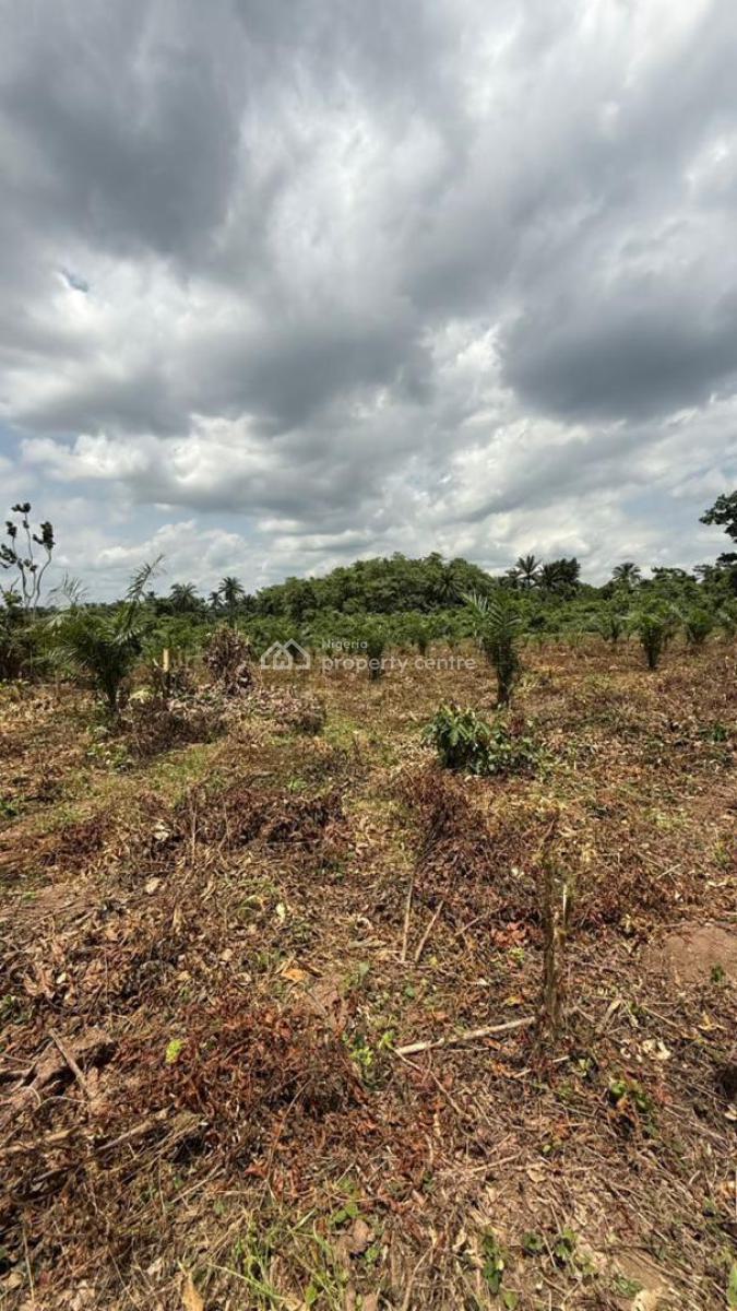 Greener Farm Hub Estate Secure Your Future Today 100% Dry Land, Remo Ogun State, Remo North, Ogun, Mixed-use Land for Sale