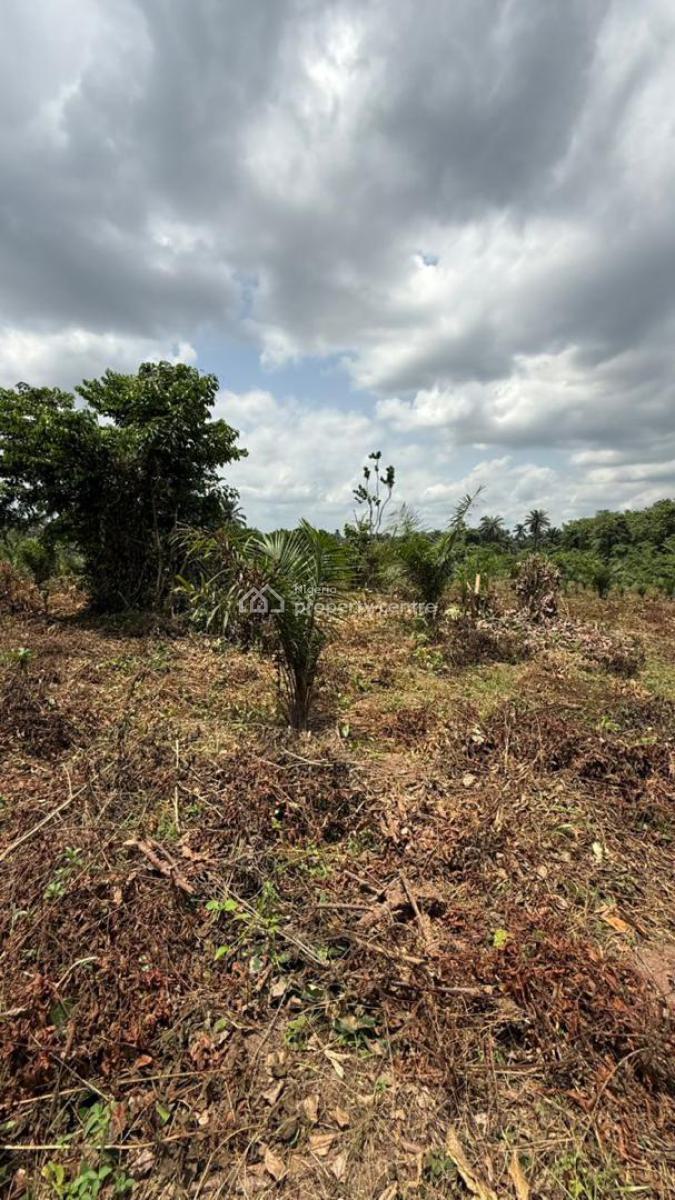 Greener Farm Hub Estate Secure Your Future Today 100% Dry Land, Remo Ogun State, Remo North, Ogun, Mixed-use Land for Sale
