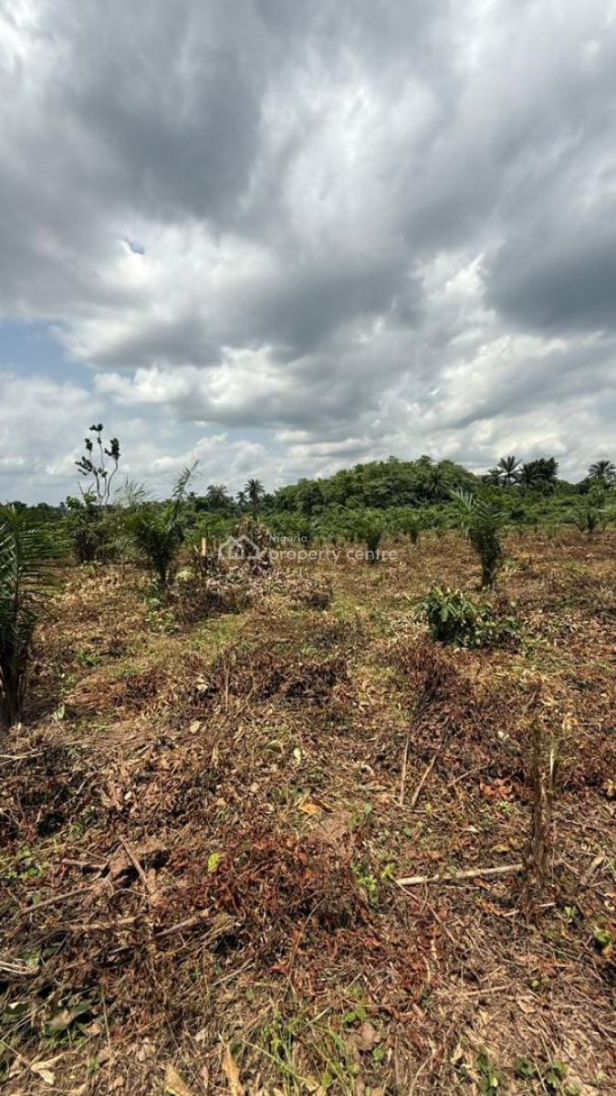 Greener Farm Hub Estate Secure Your Future Today 100% Dry Land, Remo Ogun State, Remo North, Ogun, Mixed-use Land for Sale