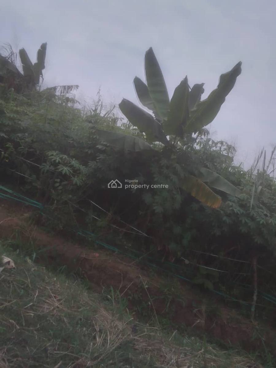 One and Half Plots of Land, Igbo-olomu Oke-imuti Itaoluwo Road, Ikorodu, Lagos, Land for Sale