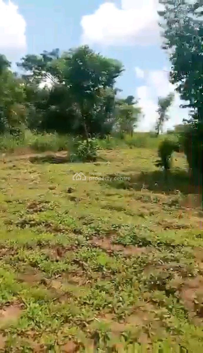 Full Acre of Agricultural Land for Farming, Close to Segun Odegbami Sport Academy., Ewekoro, Ogun, Land for Sale