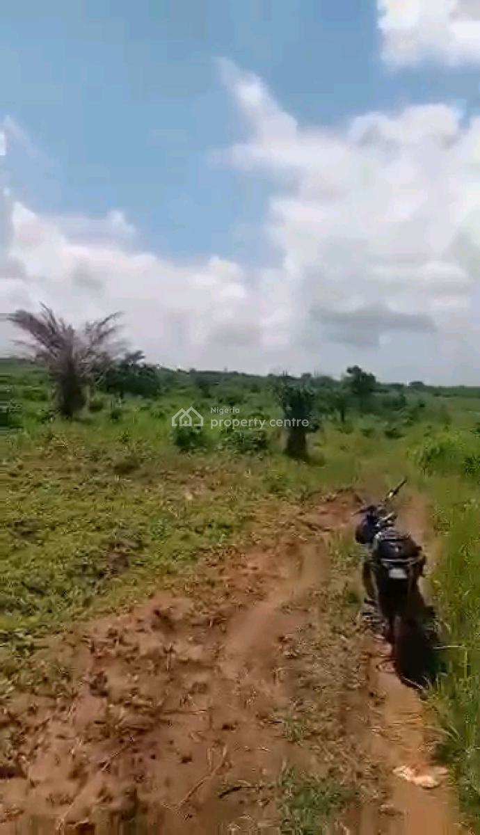 Full Acre of Agricultural Land for Farming, Close to Segun Odegbami Sport Academy., Ewekoro, Ogun, Land for Sale