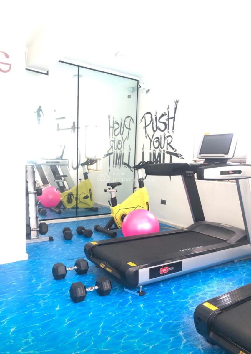 Exquisite 2 Bedroom Apartment, Ikate Lekki Lagos, Ikate, Lekki, Lagos, Flat / Apartment for Rent