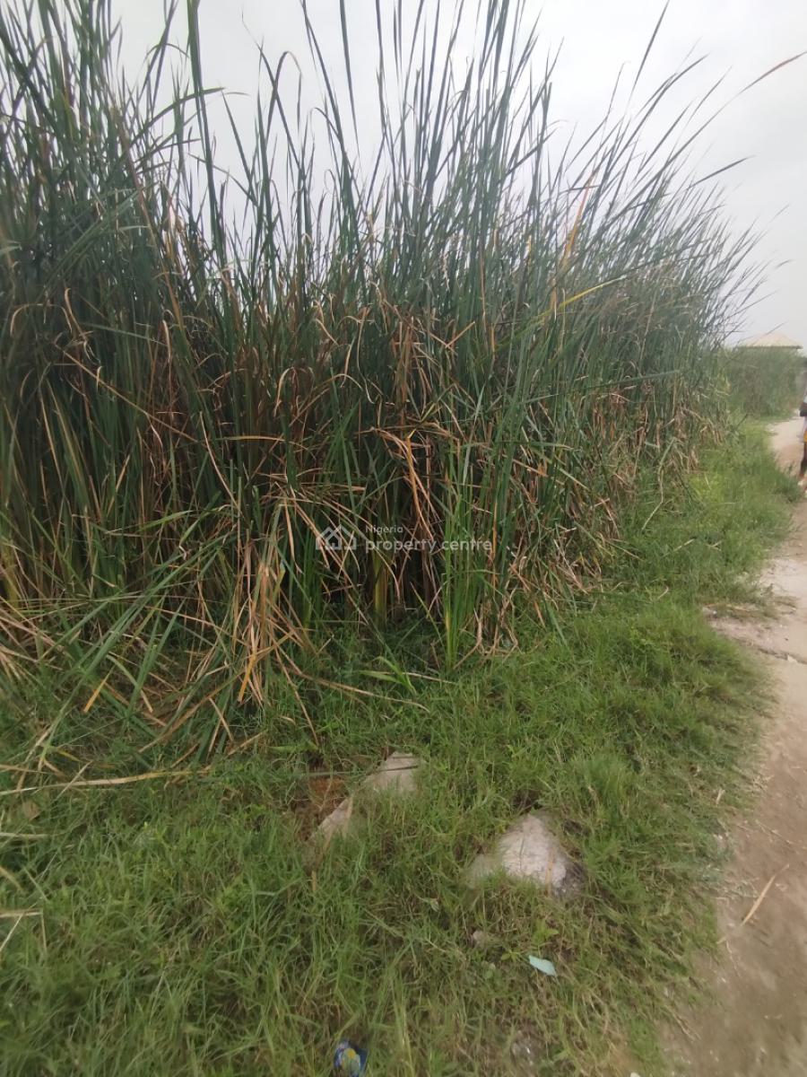 Half  (335sqm) Prime Plot, Greenville Estate, Badore Road, Ajah, Lagos, Residential Land for Sale