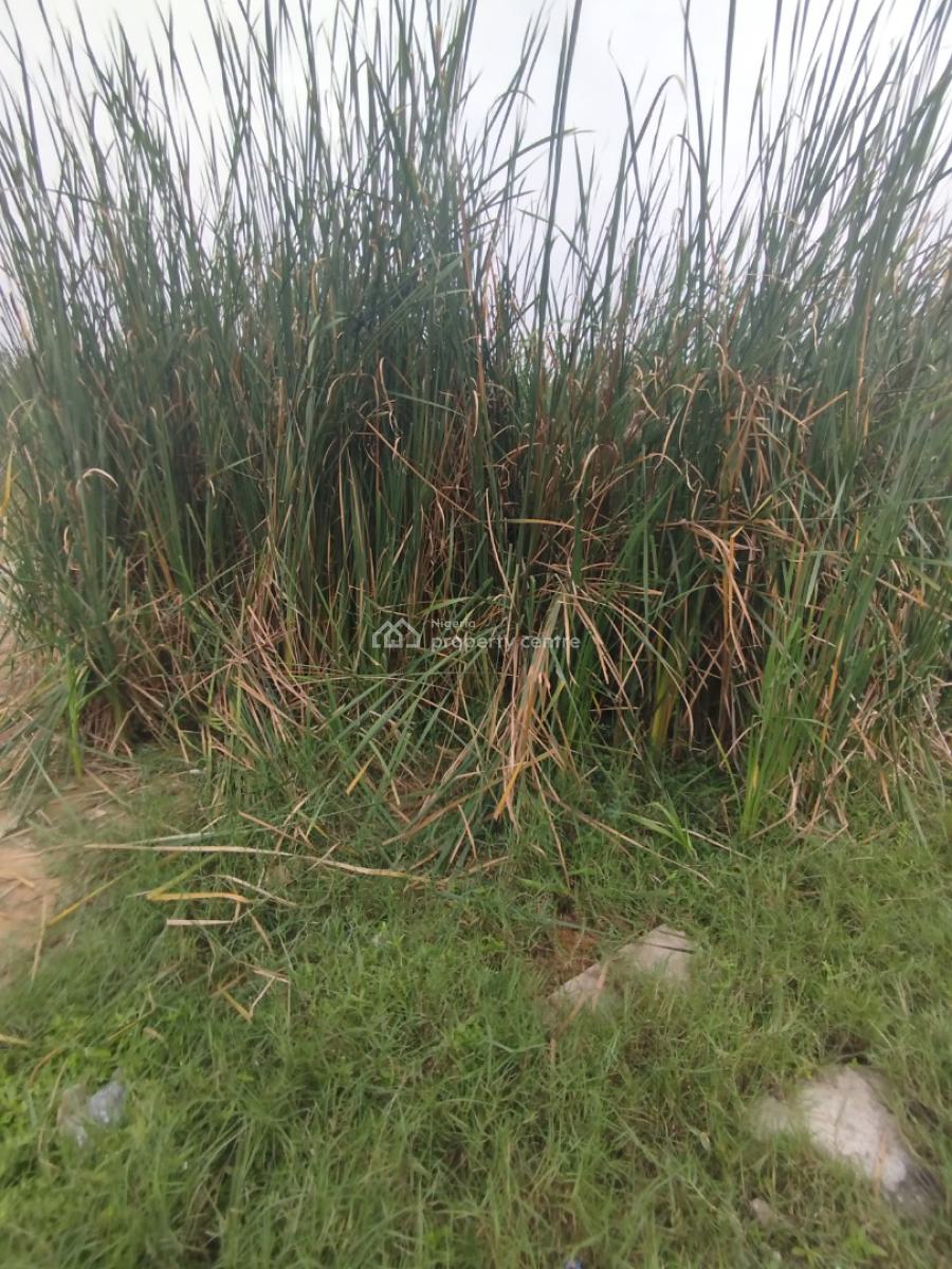 Half  (335sqm) Prime Plot, Greenville Estate, Badore Road, Ajah, Lagos, Residential Land for Sale