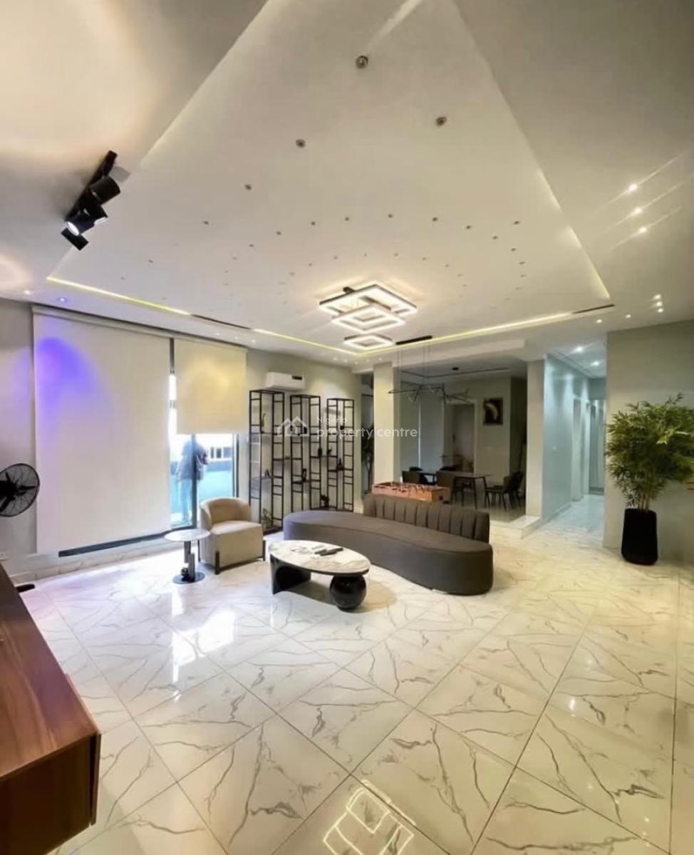 Luxury 2 Bedroom Furnished Apartment with Elevator, Ikate, Lekki, Lekki, Lagos, Flat / Apartment for Rent